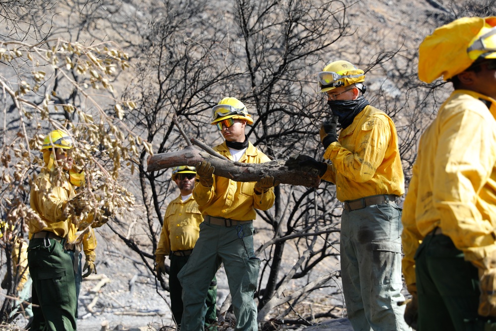 Cal Guard Type II Handcrews Working At The Palisades Fire