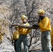 Cal Guard Type II Handcrews Working At The Palisades Fire