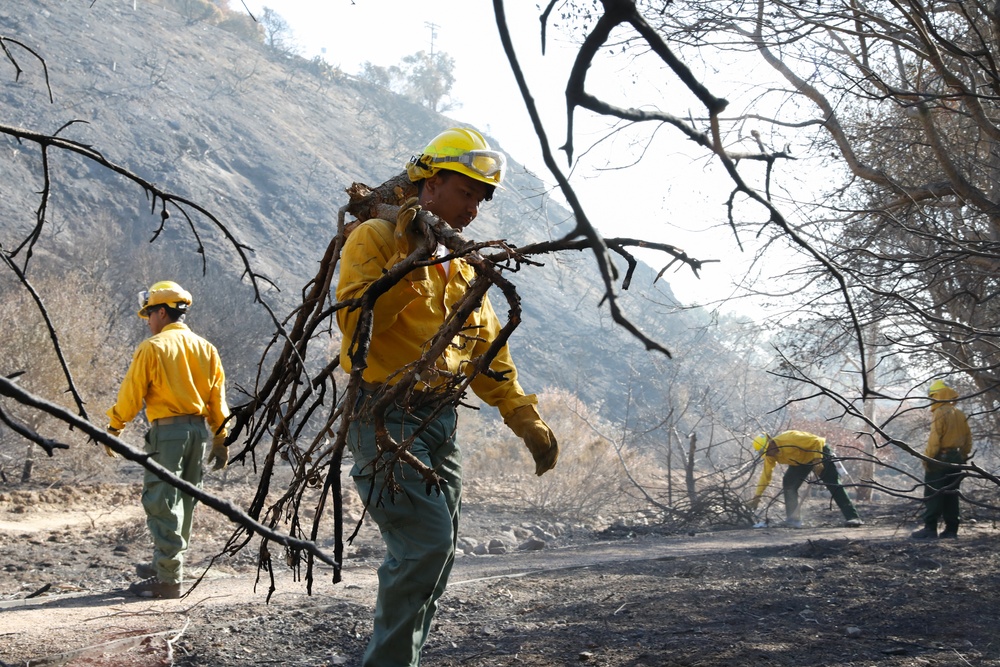 Fire Crews Work On Area Affected By Palisades Fire