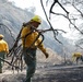 Fire Crews Work On Area Affected By Palisades Fire