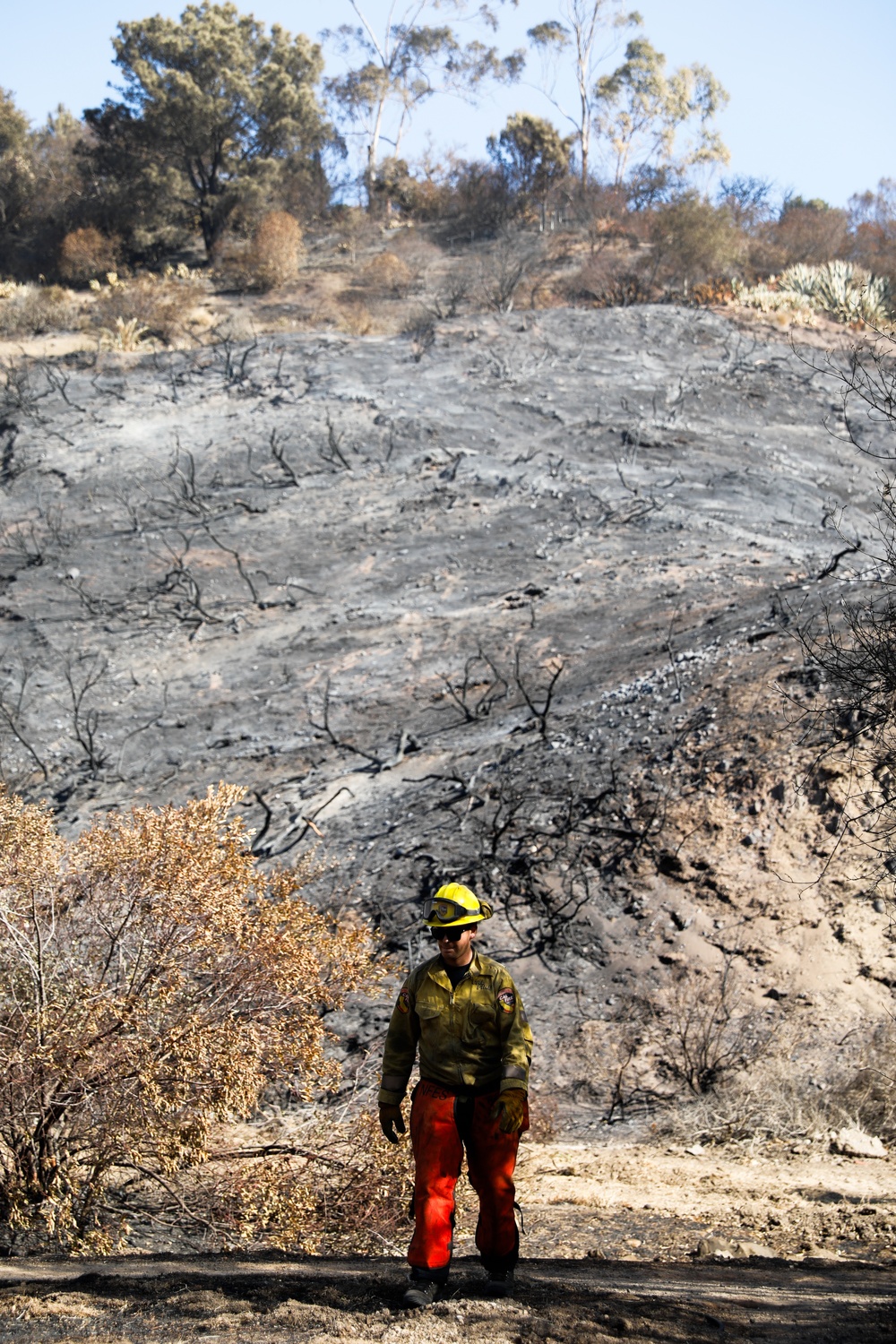 Fire Crews Work On Area Affected By Palisades Fire