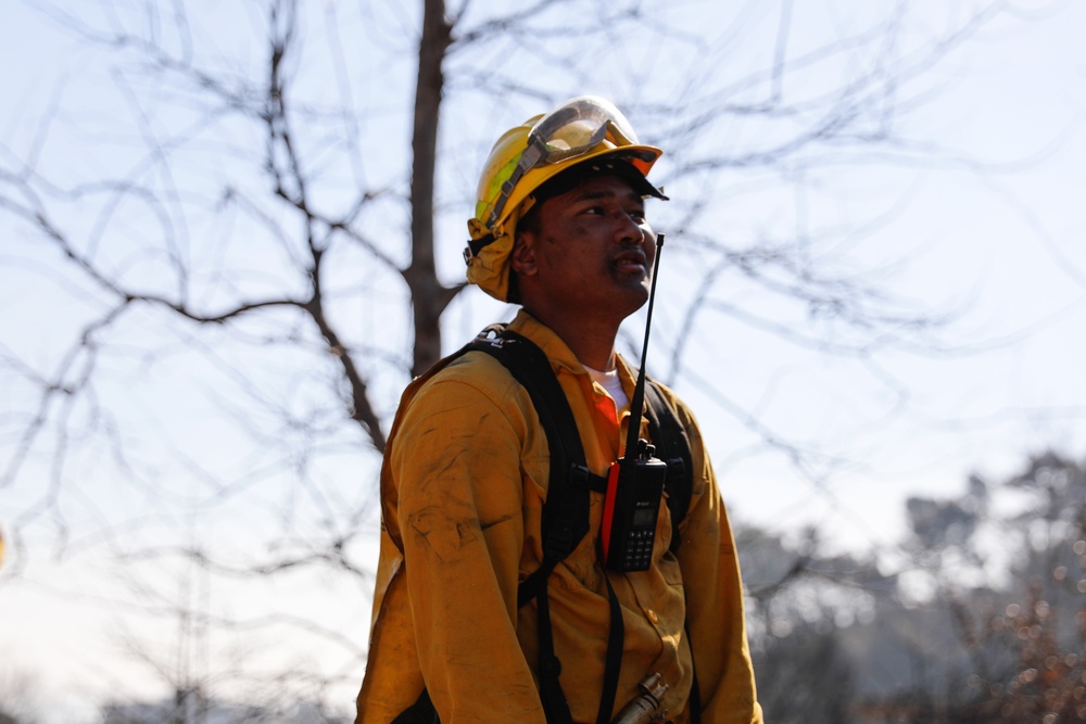 Fire Crews Work On Area Affected By Palisades Fire