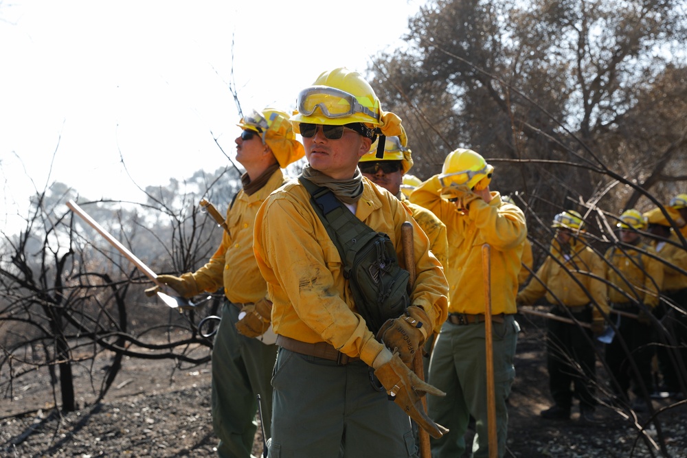 Fire Crews Work On Area Affected By Palisades Fire