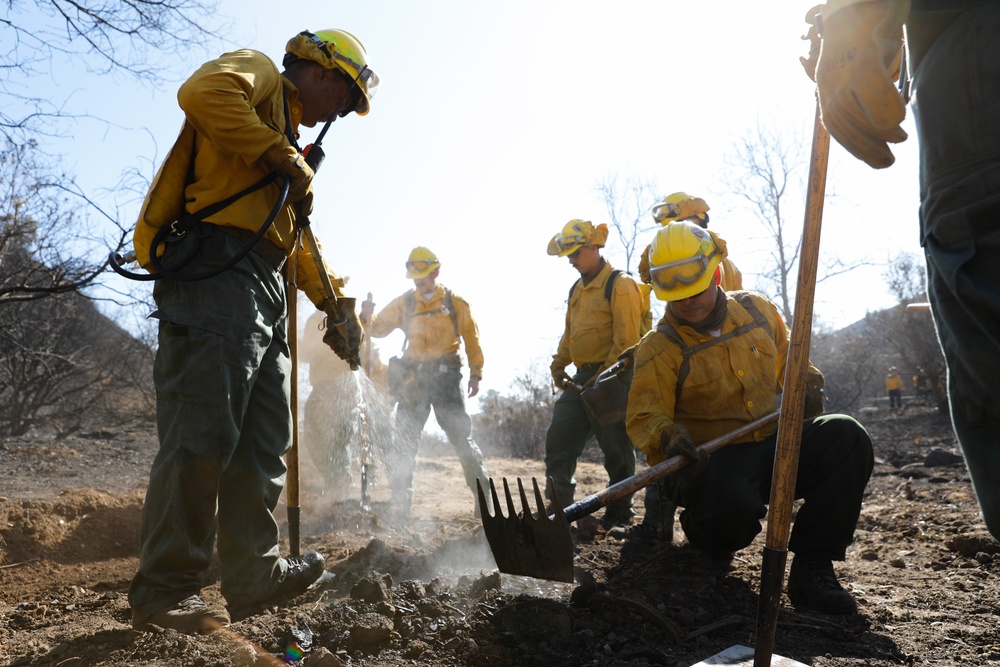 Fire Crews Work On Area Affected By Palisades Fire