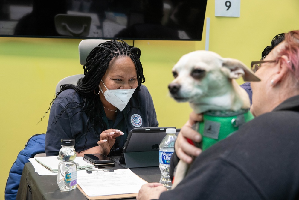 FEMA assists survivors at the Los Angeles Homeless Service Agency Registration drive.