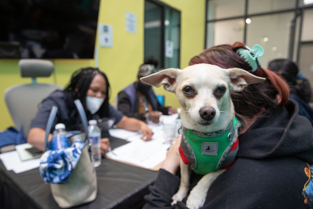 FEMA assists survivors at the Los Angeles Homeless Service Agency Registration drive.