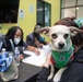 FEMA assists survivors at the Los Angeles Homeless Service Agency Registration drive.