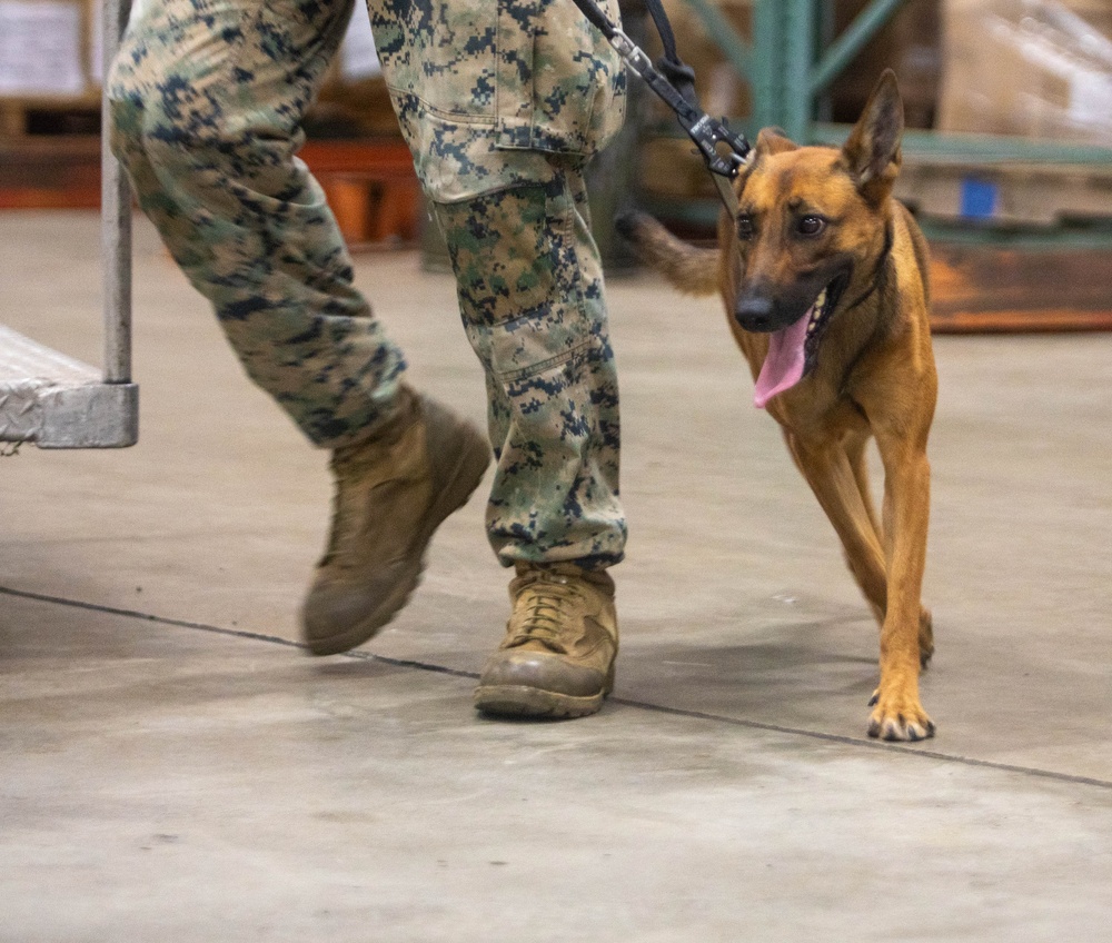 US Army dog handlers take part in multiagency, joint military training