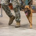 US Army dog handlers take part in multiagency, joint military training