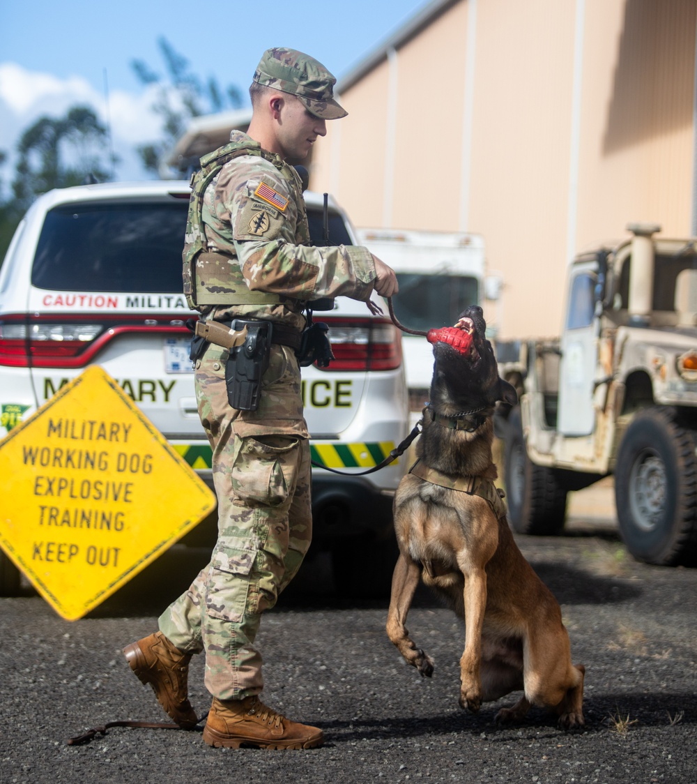 US Army dog handlers take part in multiagency, joint military training