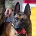 US Army dog handlers take part in multiagency, joint military training