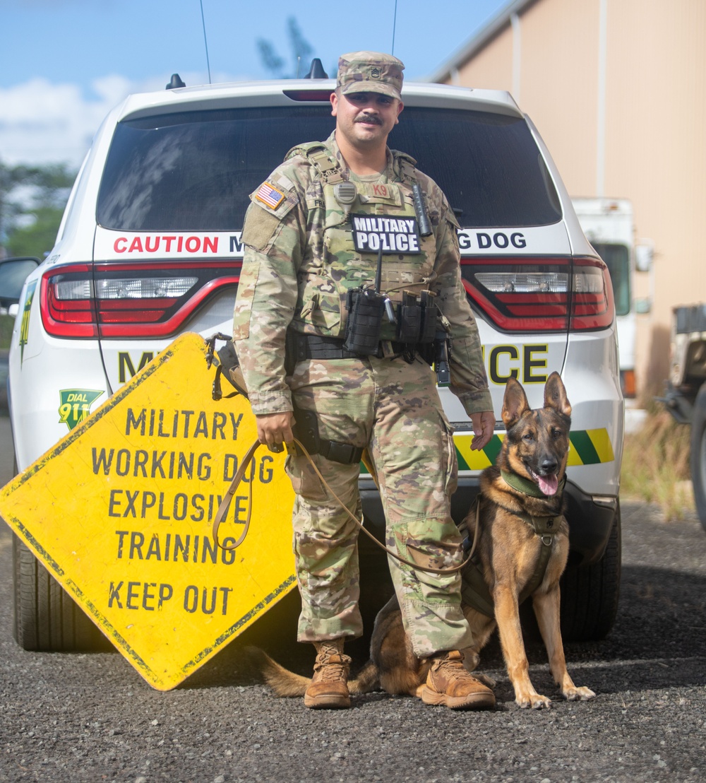 US Army dog handlers take part in multiagency, joint military training