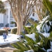 Record snow falls on NAS Pensacola