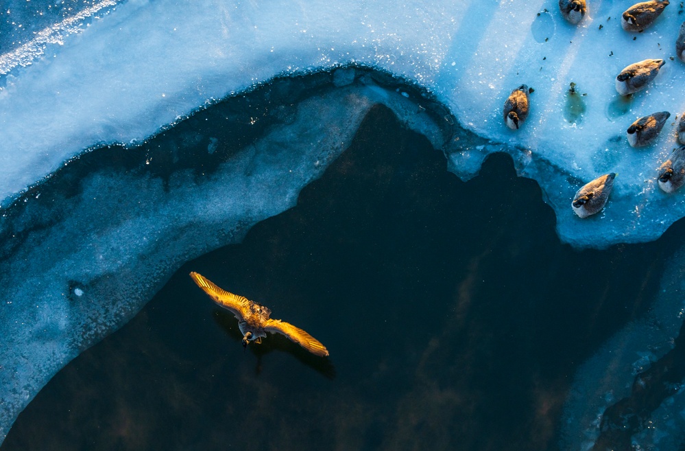 Sunfire and Ice: Towboats navigate through frozen rivers during Pittsburgh sunrise