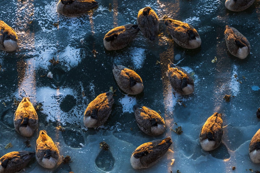 Sunfire and Ice: Towboats navigate through frozen rivers during Pittsburgh sunrise