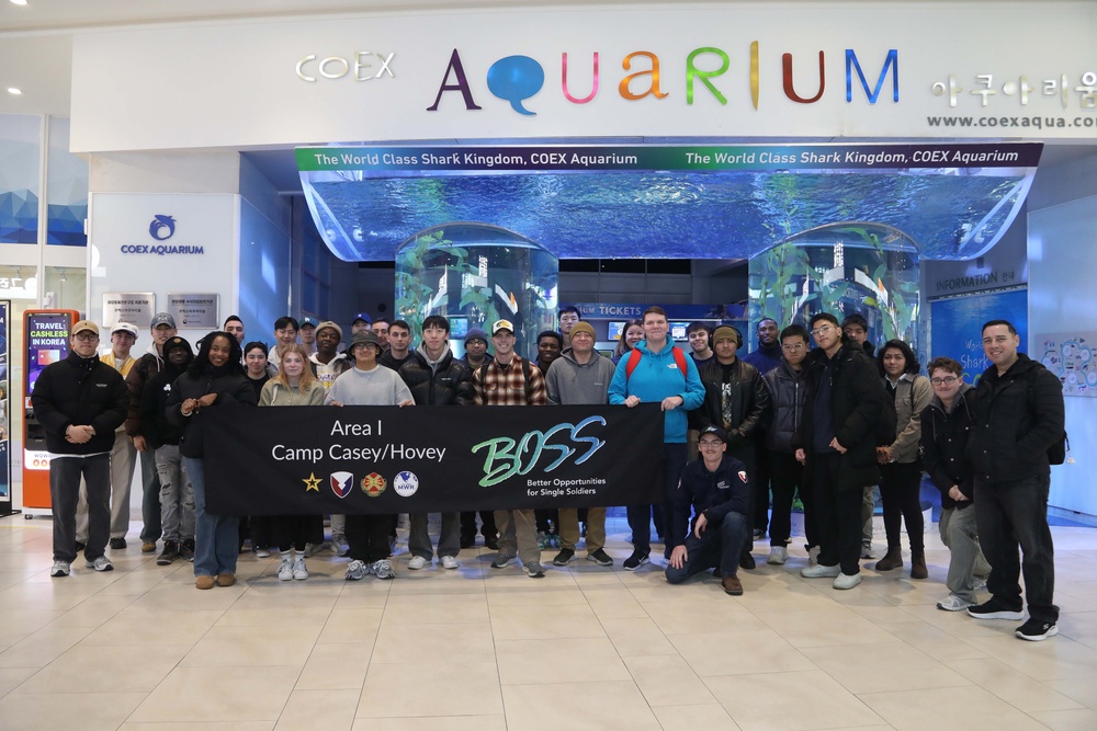 Camp Casey COEX Aquarium Tour