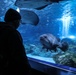 Camp Casey COEX Aquarium Tour