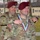 Change of Responsibility Ceremony