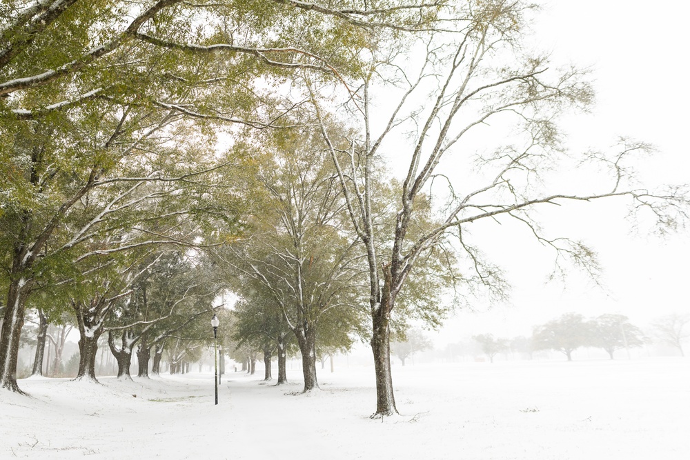 Fort Novosel snowed in