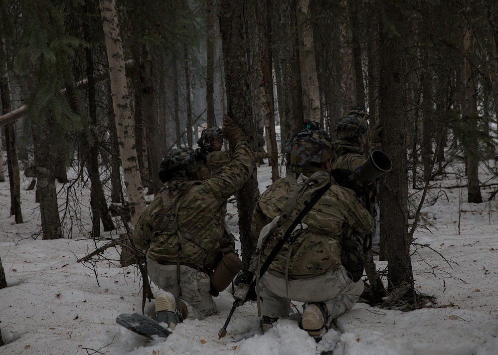 Arctic Angels Conduct Tactical Movement