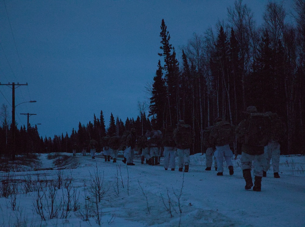 Arctic Angels Conduct Tactical Movement During JPMRC 25-02