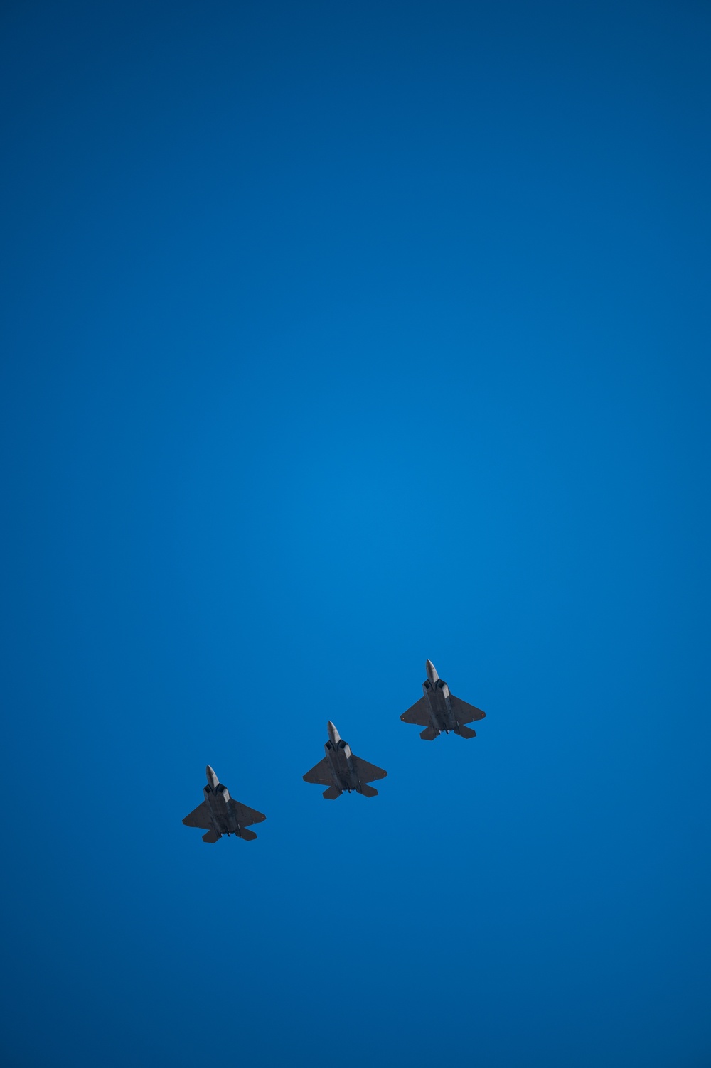 Raptors overhead