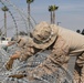 U.S. Marines arrive to southern border to assist CBP with border security mission