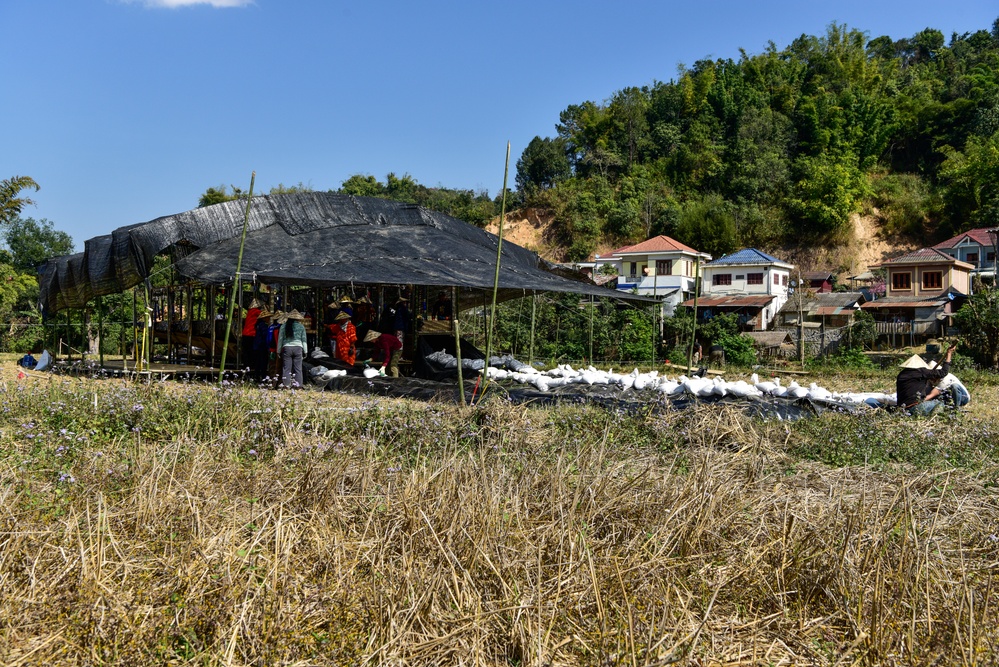 DPAA and Lao Personnel Move Screening Station in Laos