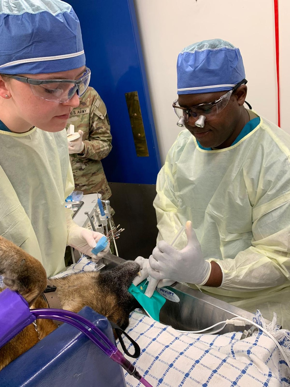 NMRTC Rota supports Military Working Dogs through partnership with Army Veterinary Clinic