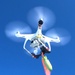 JB MDL- Fort Dix, NJ, Army Counter-UAS Training Program (ACTP)