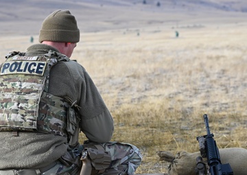 Malmstrom tactical response force conducts training exercise with Montana Air National Guard