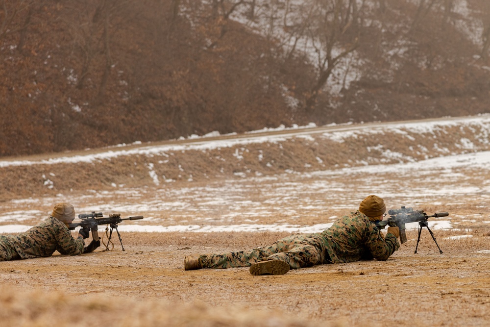 U.S. Marines Execute a Live-Fire Range during Korea Viper 25.2