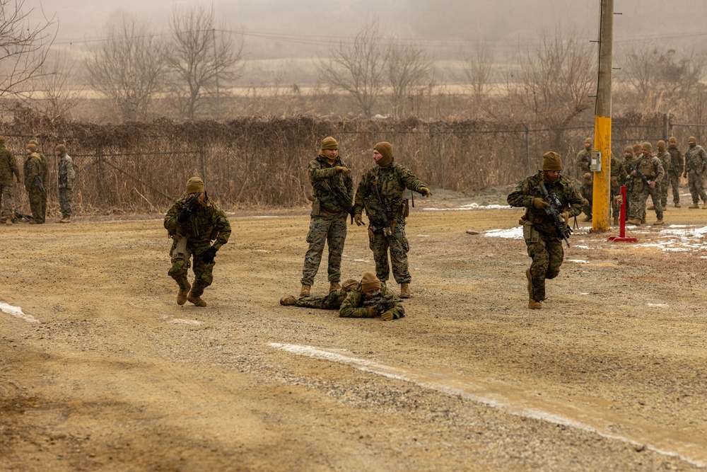 U.S. Marines Execute a Live-Fire Range during Korea Viper 25.2