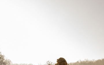 U.S. Marines Execute a Live-Fire Range during Korea Viper 25.2