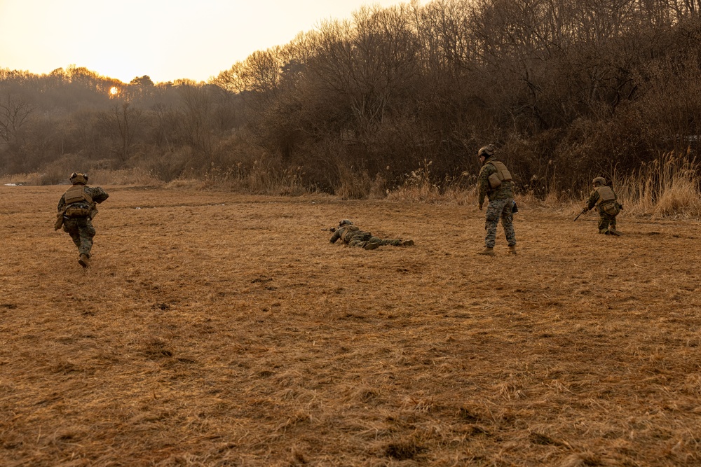 U.S. Marines Execute a Live-Fire Range during Korea Viper 25.2