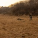 U.S. Marines Execute a Live-Fire Range during Korea Viper 25.2