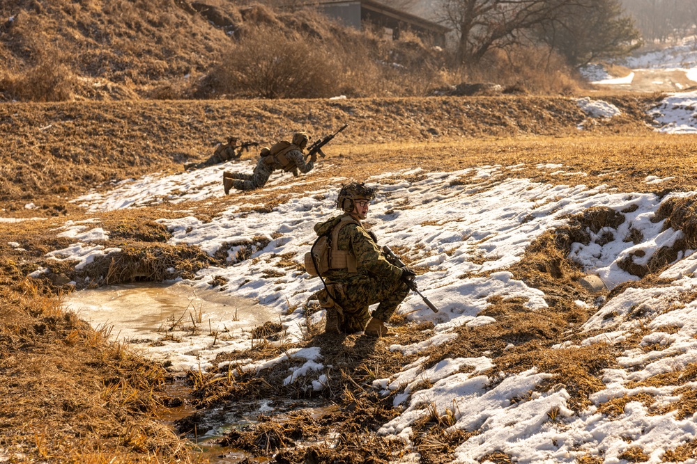 U.S. Marines Execute a Live-Fire Range during Korea Viper 25.2