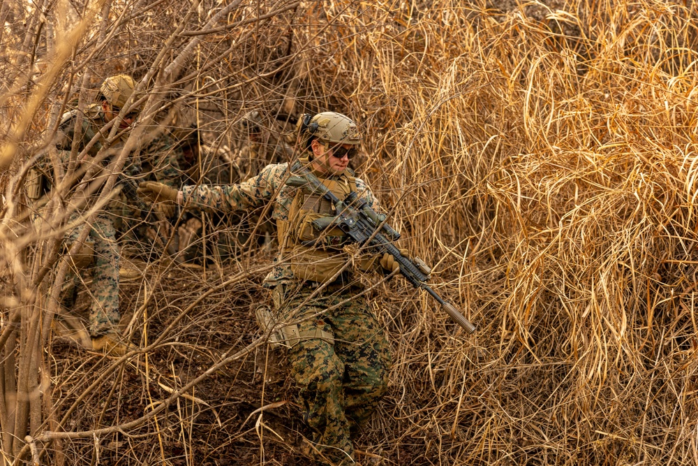 U.S. Marines Execute a Live-Fire Range during Korea Viper 25.2