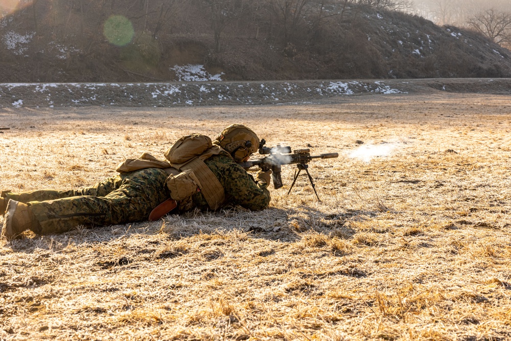 U.S. Marines Execute a Live-Fire Range during Korea Viper 25.2