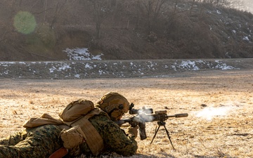 U.S. Marines Execute a Live-Fire Range during Korea Viper 25.2