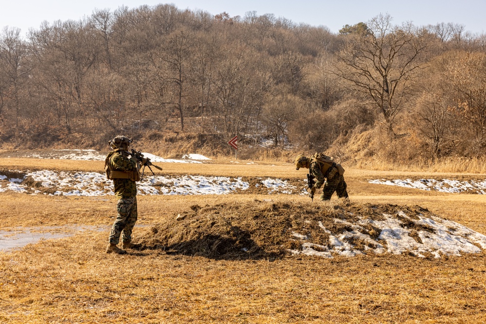 U.S. Marines Execute a Live-Fire Range during Korea Viper 25.2