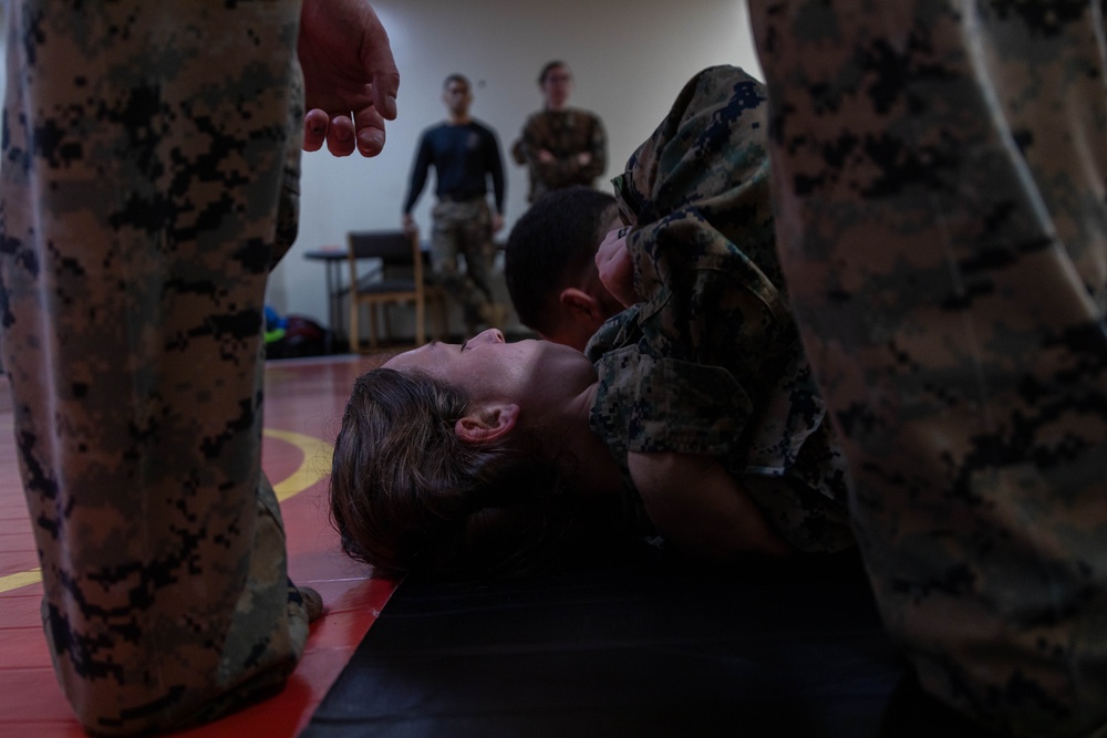 III MEF Marines train to be Martial Arts Instructors