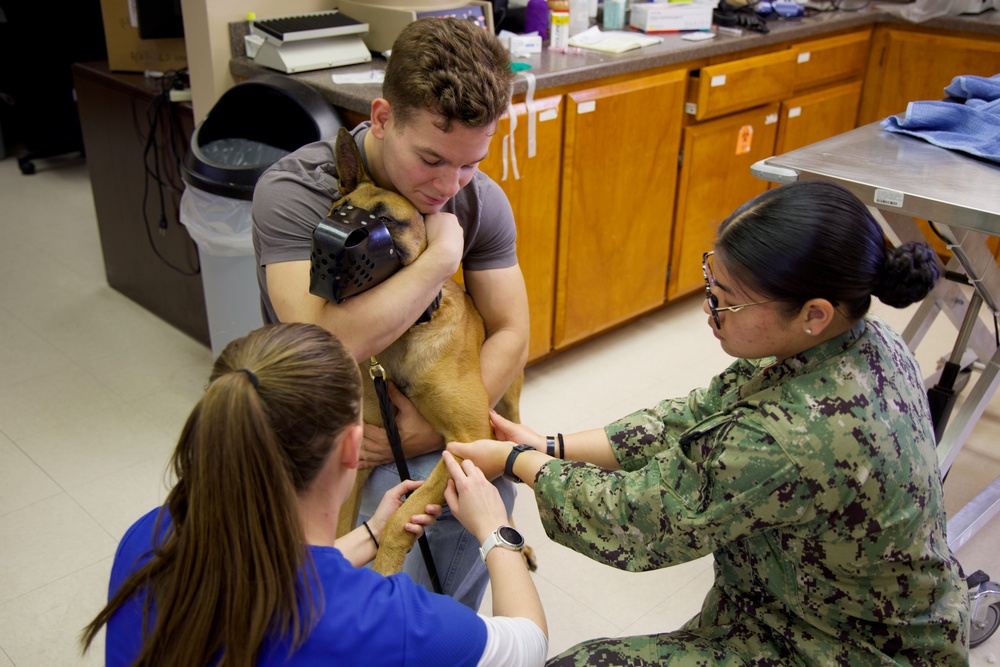 From Humans to Canines: NMRTC Twentynine Palms corpsmen cross-train with Army vets