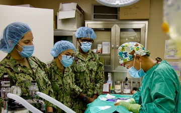 From Humans to Canines: NMRTC Twentynine Palms corpsmen cross-train with Army vets