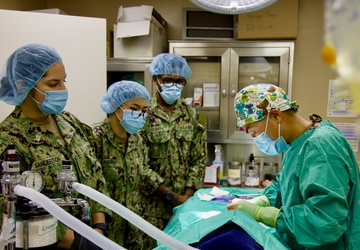 From Humans to Canines: NMRTC Twentynine Palms corpsmen cross-train with Army vets