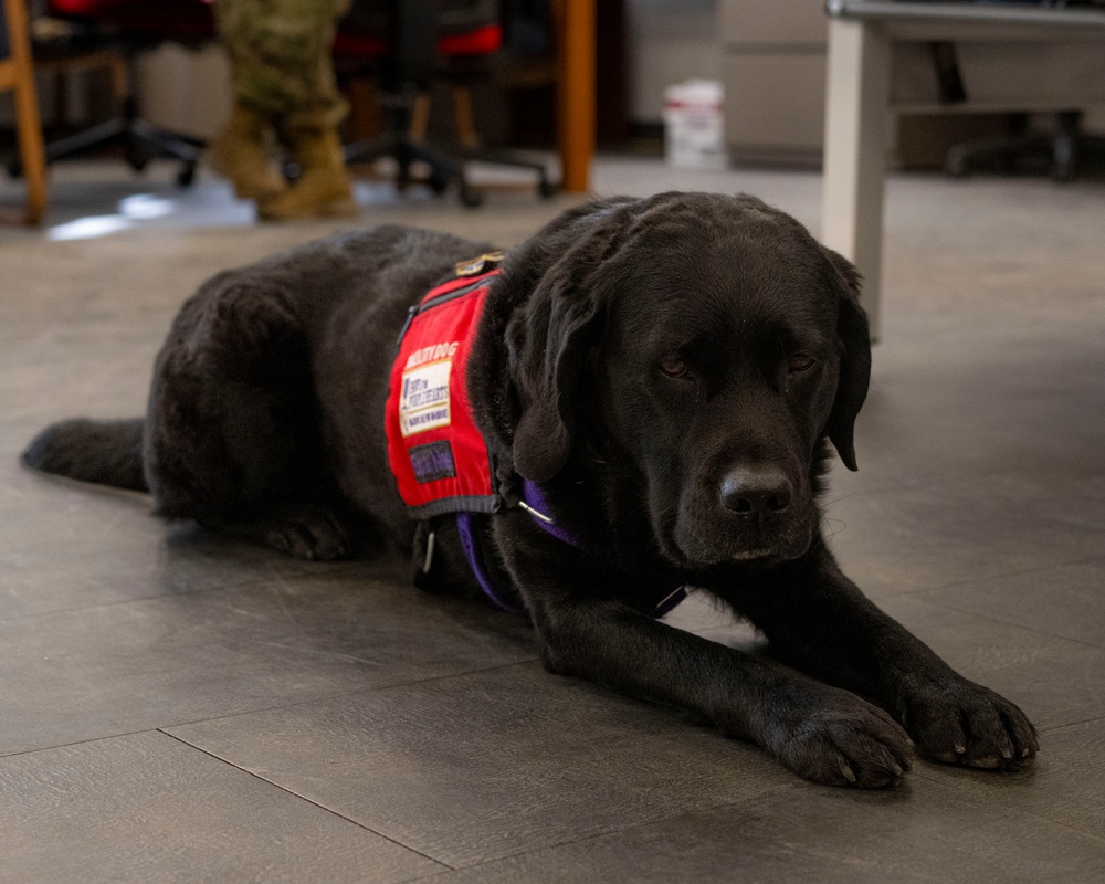 True North Therapy Dogs at Hill AFB