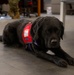 True North Therapy Dogs at Hill AFB