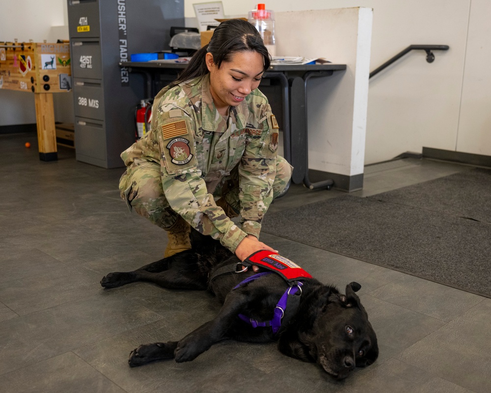 True North Therapy Dogs at Hill AFB