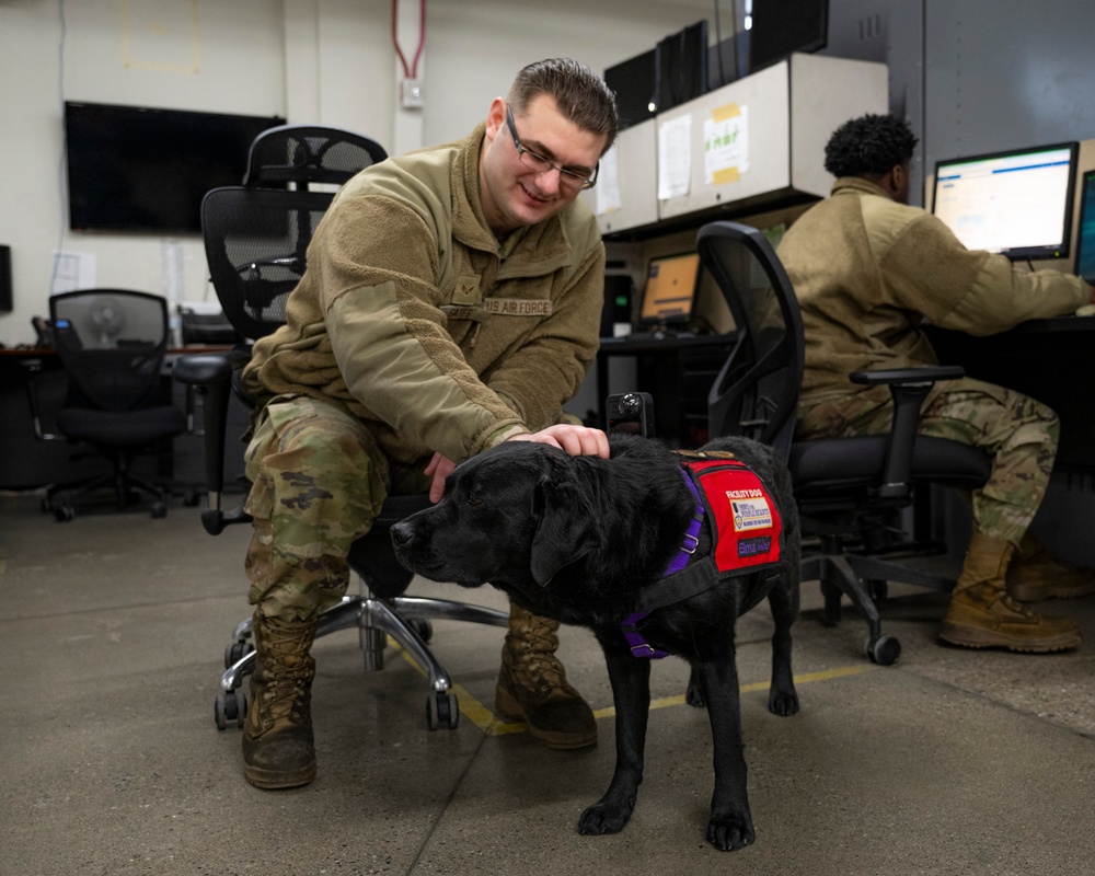 True North Therapy Dogs at Hill AFB