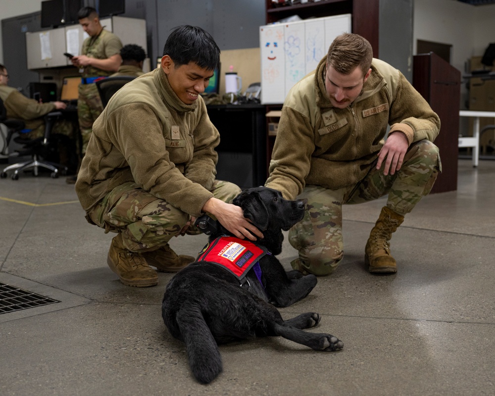 True North Therapy Dogs at Hill AFB